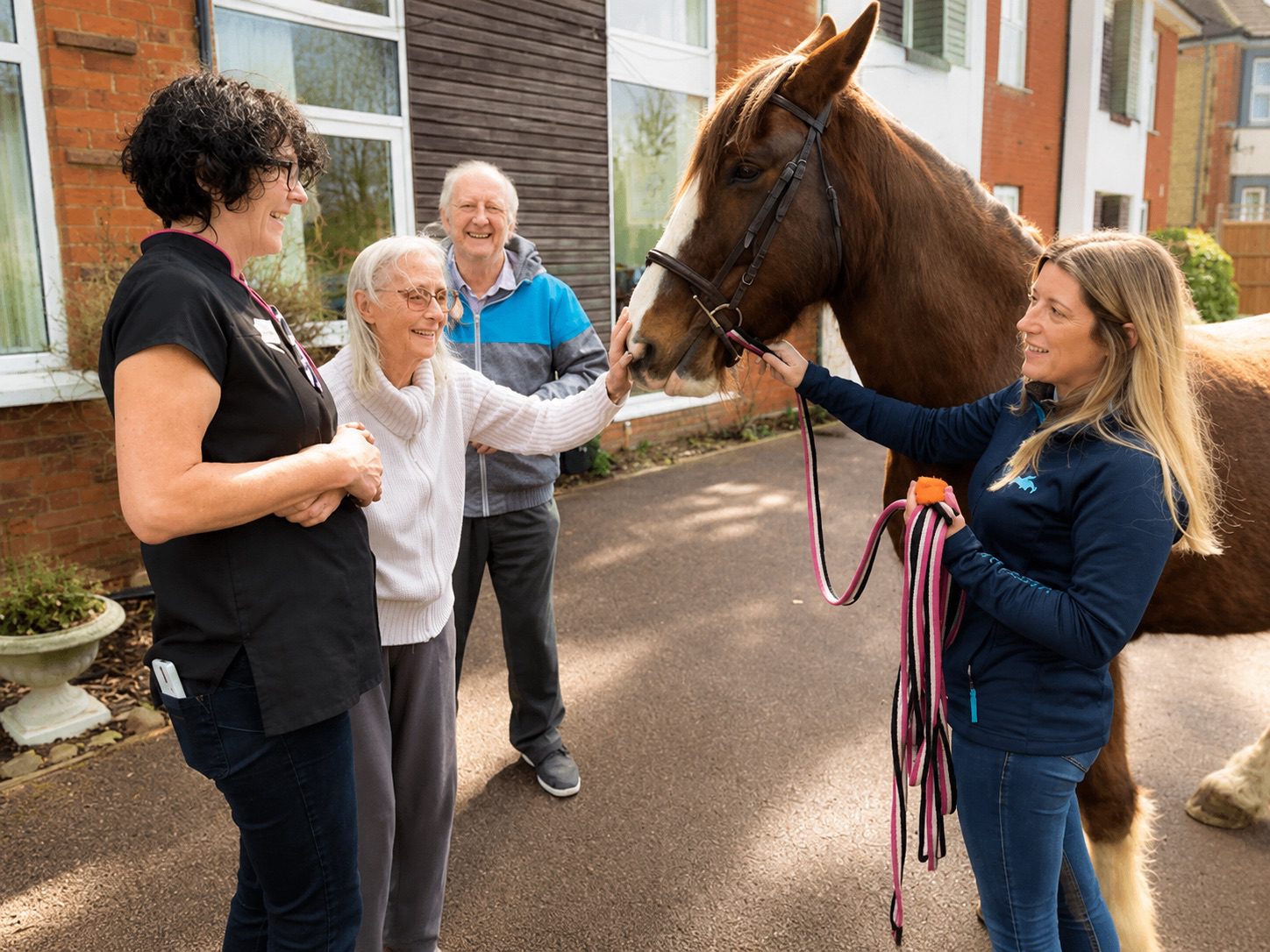 Meeting Bramble the therapy horse